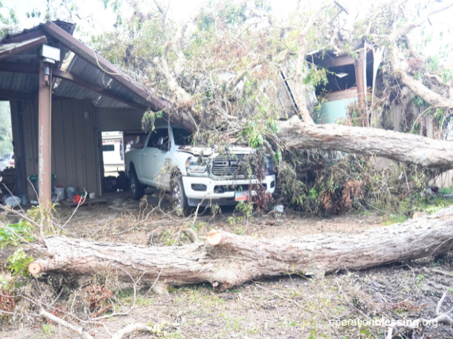 fallen-tree-on-truck