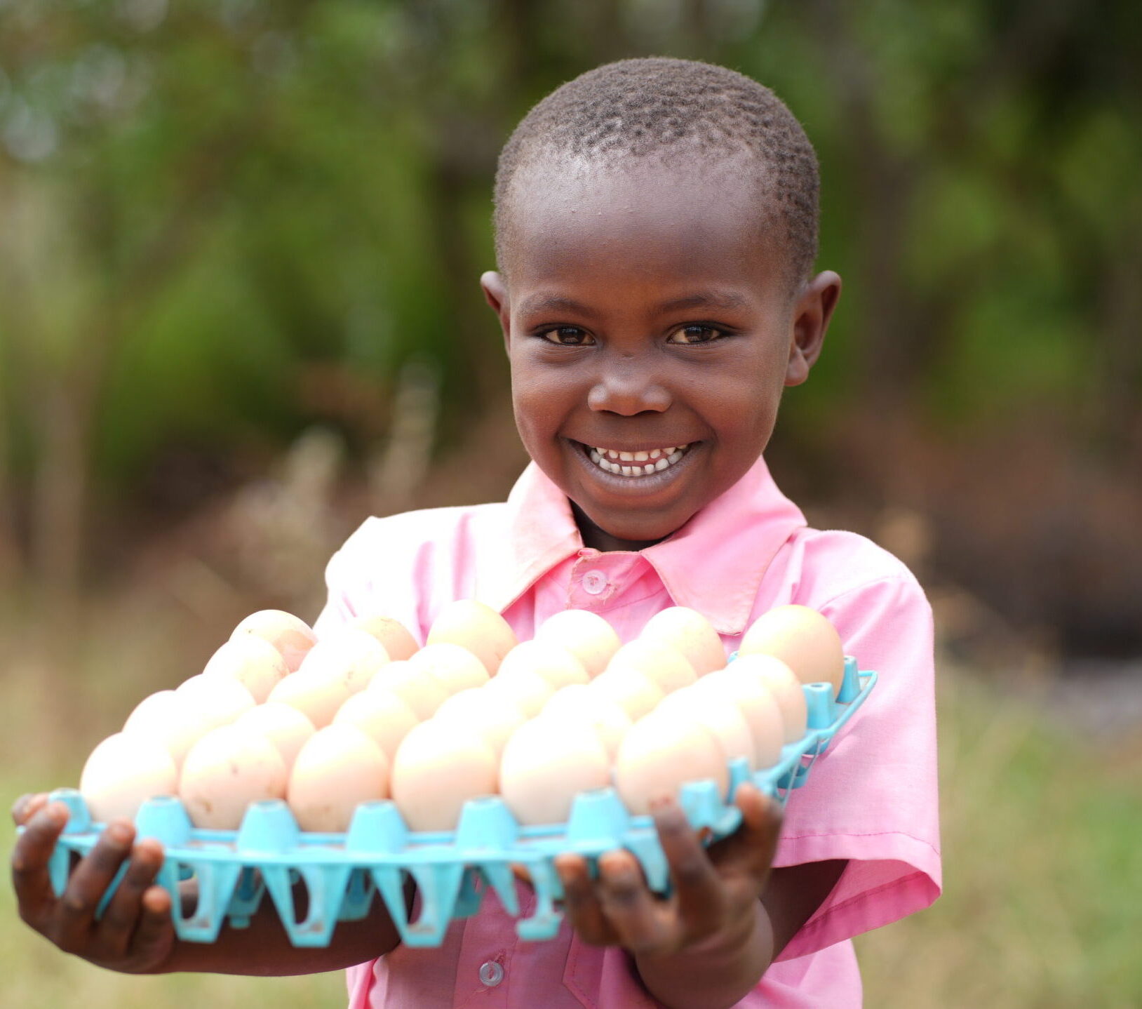 holding-eggs