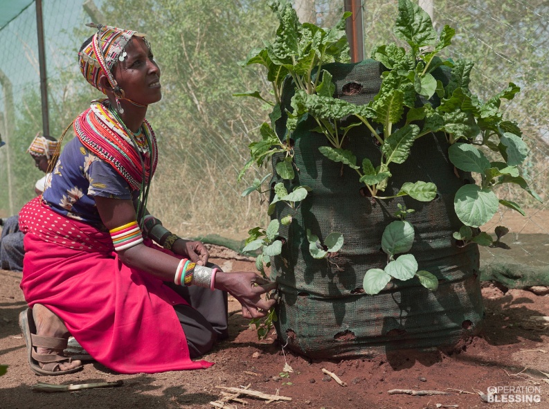 Hunger Relief_Agriculture Farming and Family Agriculture