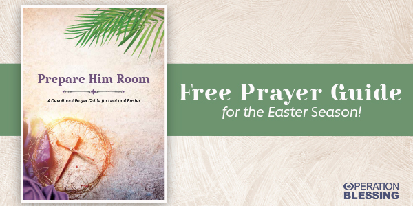 Prepare Him Room Lent Devotional Little Birdie Prayer Guide