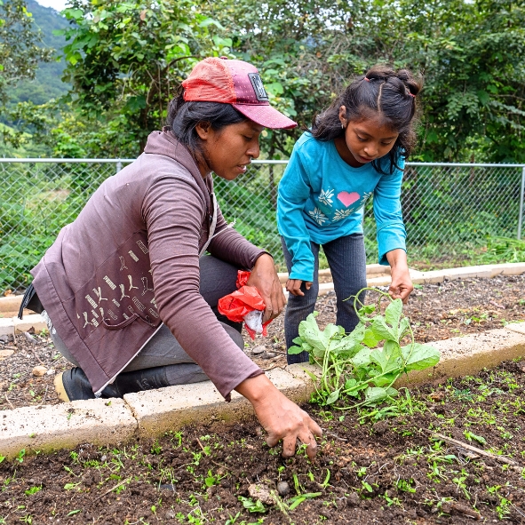 Hunger Relief_Community Gardens