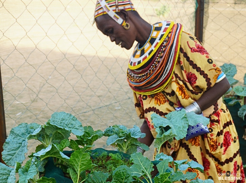 School & Community Gardens_5